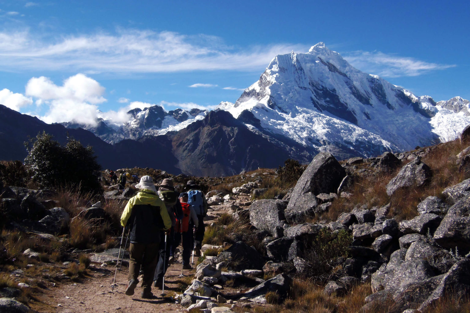 どのような症状がありますか?