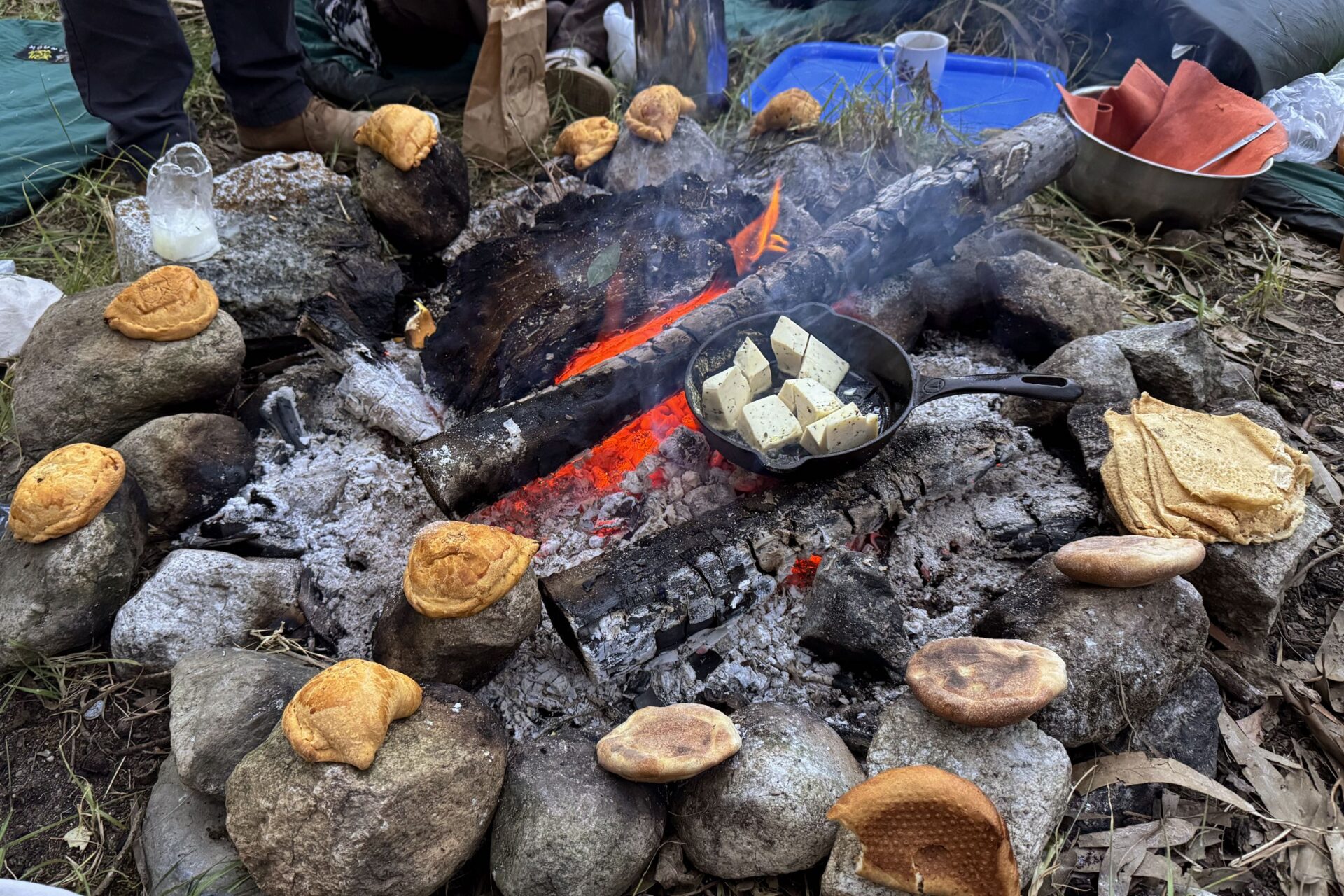 ワラス ペルー ブログ サンペドロ ワチュマ サボテン チャビン 井上晶 ナンディ・ペルー